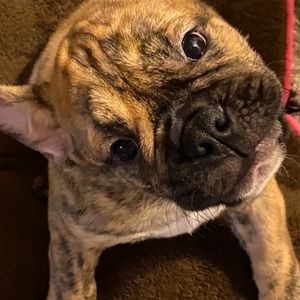 Meet your Posher, Chris